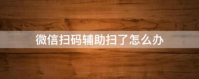 微信扫码辅助扫了怎么办（微信扫码辅助扫了怎么办呢）