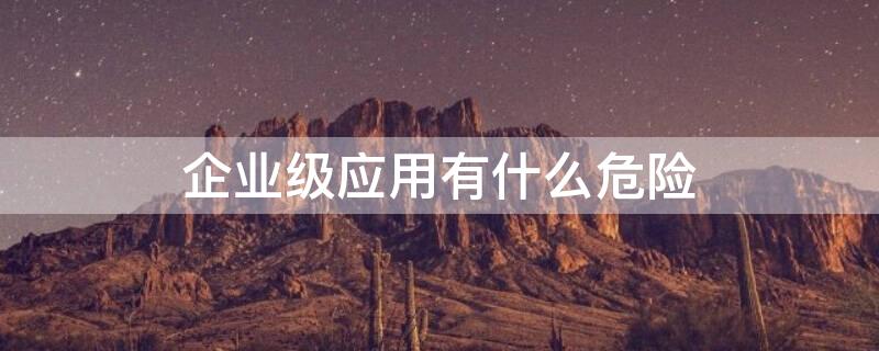 企业级应用有什么危险 企业级应用什么意思