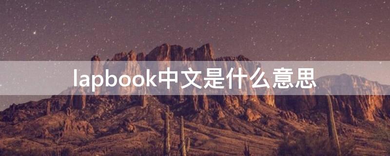 lapbook中文是什么意思 labbook是什么意思中文