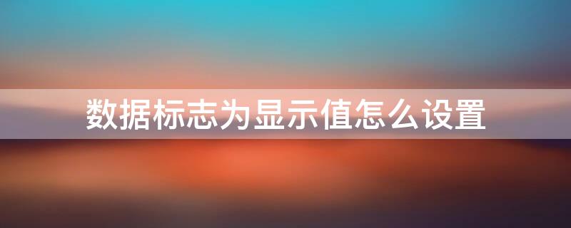数据标志为显示值怎么设置
