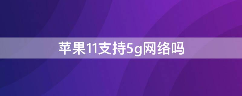 iPhone11支持5g网络吗（苹果11手机支持5g网络吗）