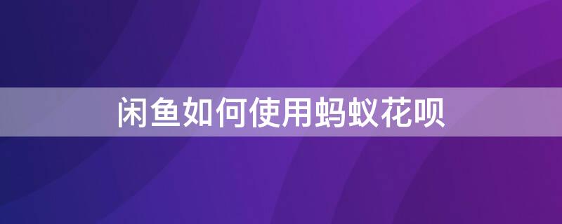 闲鱼如何使用蚂蚁花呗 闲鱼怎么可以使用花呗支付