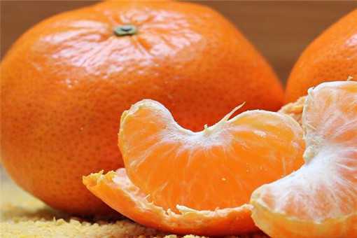 2019橘子市场价格多少钱一斤（今年橘子价格多少钱一斤呢）