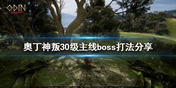 奥丁神叛30级主线boss怎么打（奥丁神叛副本）