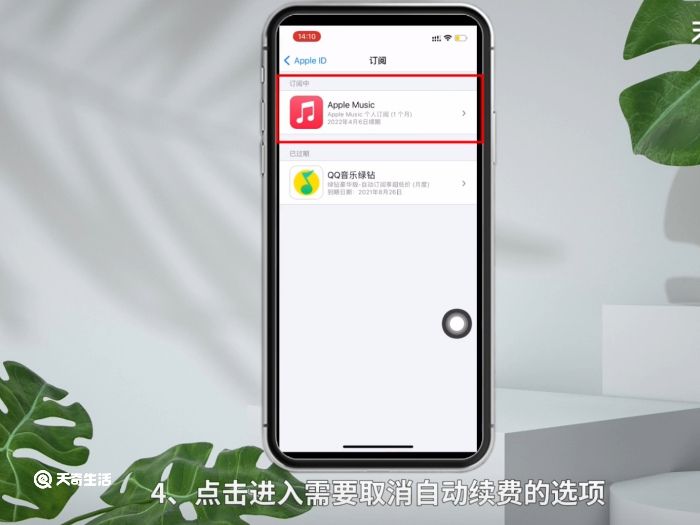苹果连续包月自动扣费怎么取消