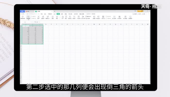 excel表格筛选条件在哪里设置