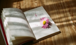 来日方长的唯美句子（来日方长的唯美句子44条）