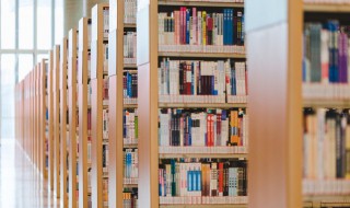 琵琶行重点句要求背诵的 琵琶行考点名句