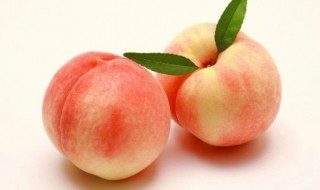 桃子属于酸性还是碱性水果 桃子属于碱性水果吗