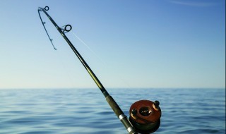 白丝鱼和翘嘴鱼的区别是什么（翘嘴和白鱼是一种鱼吗）