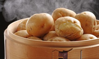 土豆烧肉懒人版的做法 土豆烧肉的做法最正宗的做法