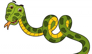 白环蛇和银环蛇的区别是什么 银环蛇和白花蛇的区别