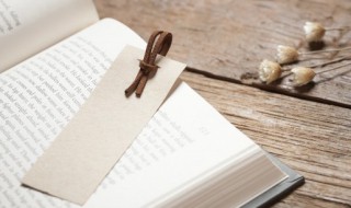 画眉鸟古诗（画眉鸟古诗注音版）