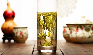 自制青梅绿茶的材料和做法步骤 青梅茶怎么做