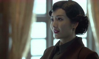 伪装者故事梗概（伪装者的故事）