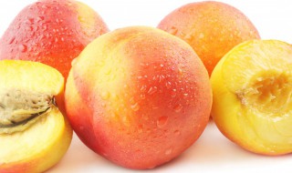油桃和桃子的区别是什么 油桃和桃子的区别是什么?油桃有油我们都一样