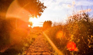 告别时给对方留言的极具温柔文案（离别赠言文案）