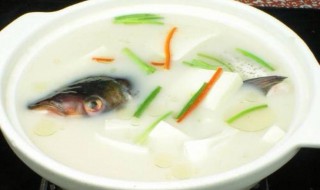 炖花鲢鱼汤的做法 花鲢鱼煮汤