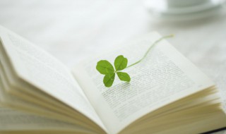 二年级上册全部古诗 人教版二年级上册全部古诗