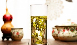 金银花茶制作过程以及注意事项 金银花茶的泡制方法