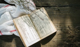 找个好的网名 找个好的网名搜索