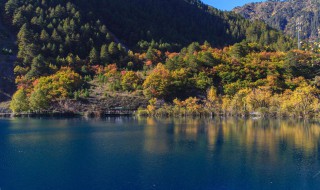 四川旅游景点推荐（四川旅游景点推荐自驾游）