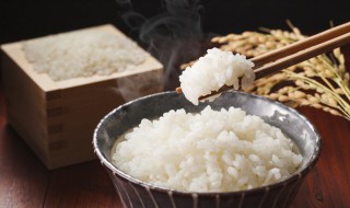 电饭锅蒸米饭为什么会溢出来（电饭锅煮饭为什么会溢出来）