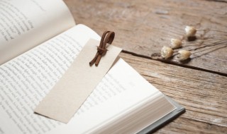 含羞草书皮有毒吗 含羞草有毒吗