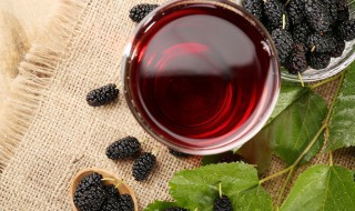 桑葚干怎么泡水喝（桑葚干怎么泡水喝的功效）