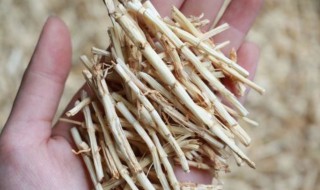 白茅根的营养价值 白茅根的营养成分