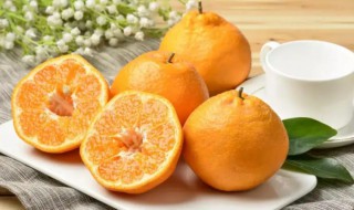 耙耙柑吃了上火吗（粑粑柑吃了上火吗(春见耙耙柑吃了上火吗）