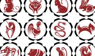 2022年运势最好的生肖要翻身（2022年运势最好的生肖要翻身猪）