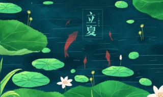 立夏养身小知识（立夏应该如何养生）