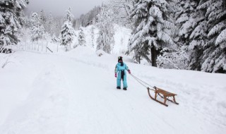 2022冬奥会主题演讲稿（2022冬奥会主题演讲稿700字）