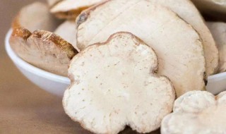 天花粉的营养价值（天花粉的营养成分有哪些用）