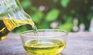 棕榈油的营养价值（棕榈油的营养价值和功效）