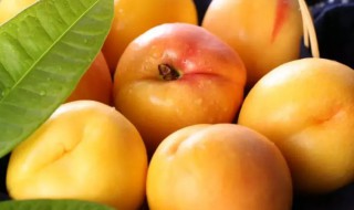 黄金桃的特点是什么（黄金桃百科）