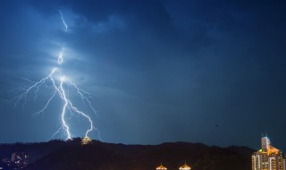 雷雨天为什么不能在大树下避雨 雷雨天为什么不能在大树下避雨十万个没什么