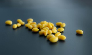 煮熟的黄豆没发酵能做花肥吗（煮熟的黄豆不发酵可以养花吗）