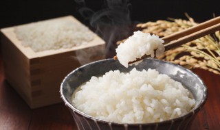 砂锅蒸米饭需要多长时间（砂锅蒸米饭要多久时间）