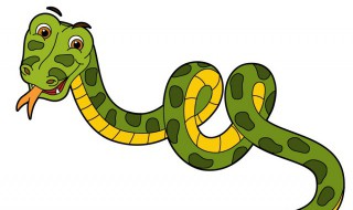 蛇没有四肢但它属于爬行动物为什么 蛇没有脚为什么属于爬行动物