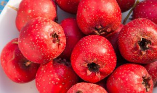 山楂泡水喝对胃有没有影响 山楂泡水会不会伤胃