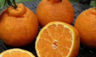 怎样挑选耙耙柑 耙耙柑如何挑选甜的