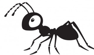 蚂蚁用什么来辨别气味（蚂蚁是什么气味）