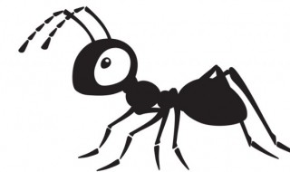 蚂蚁起源于什么时期（蚂蚁的发展史）