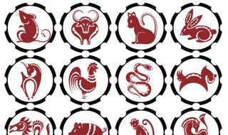 欲钱买温顺可爱的动物是什么生肖（欲钱去买温顺的动物属什么生肖）