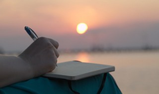 陌上人如玉出自哪首诗（公子世无双陌上人如玉出自哪首诗）