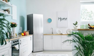 橱柜门什么材质好（橱柜门什么材质好一点）