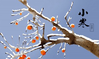 小寒节气早安问候祝福语（小寒节气温馨祝福语）