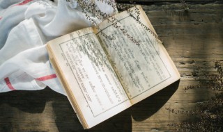 夏日绝句是不是边塞诗 夏日绝句是不是边塞诗搜索